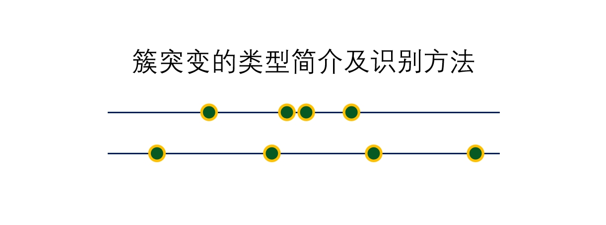 簇突变的类型简介及识别方法（Clustered mutation classification）